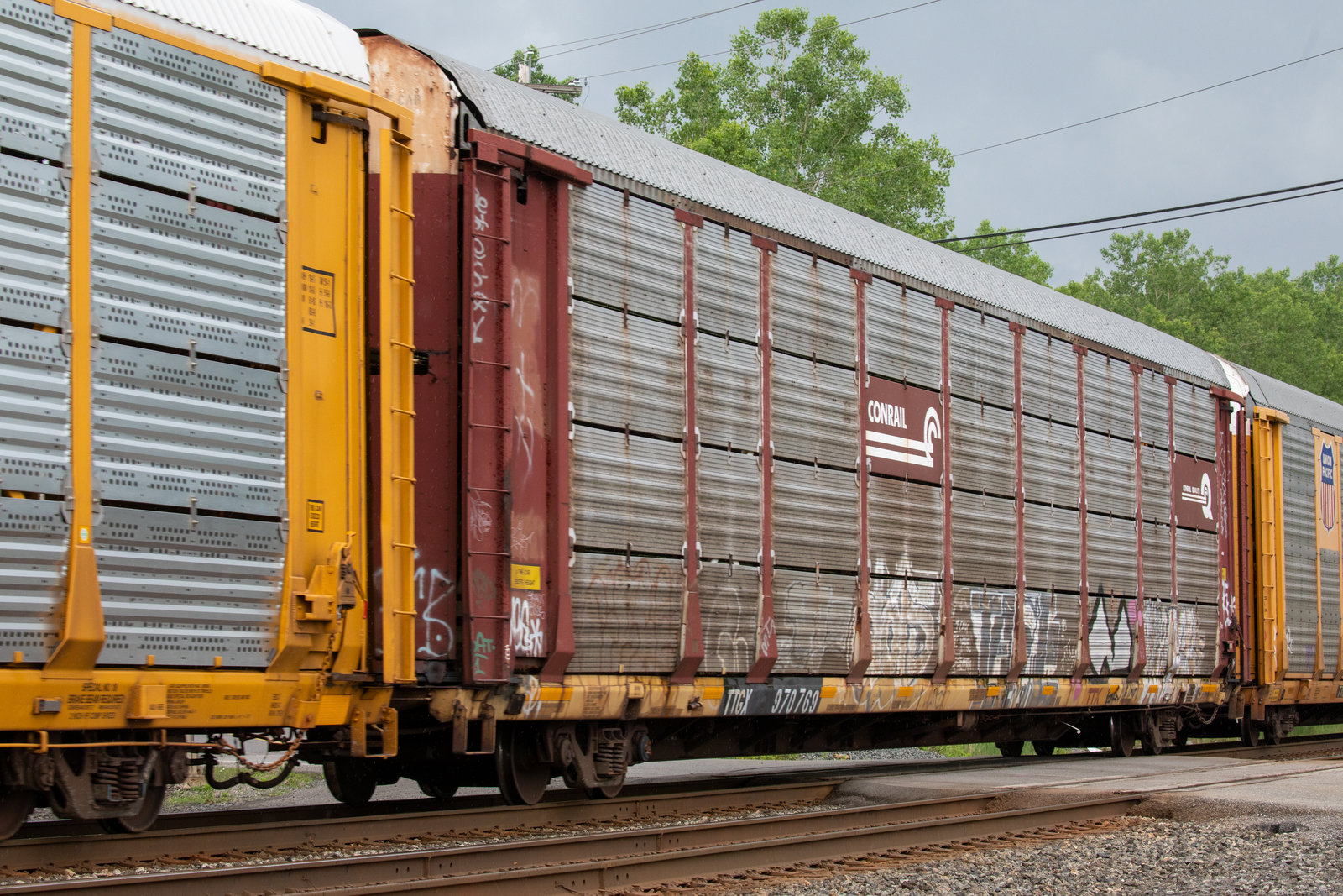 TTGX 970769