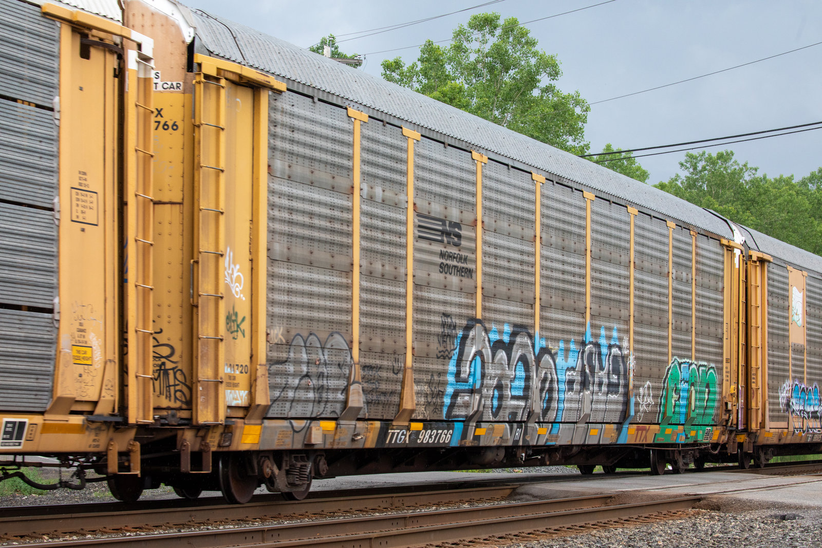 TTGX 983766