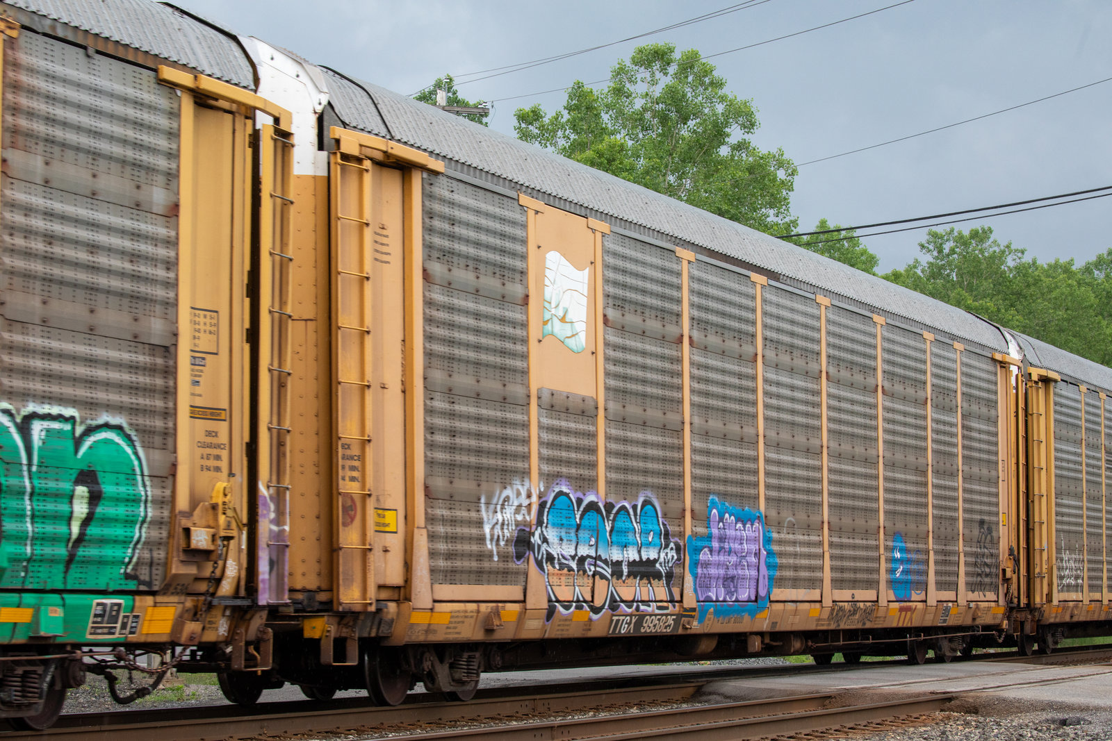 TTGX 995825