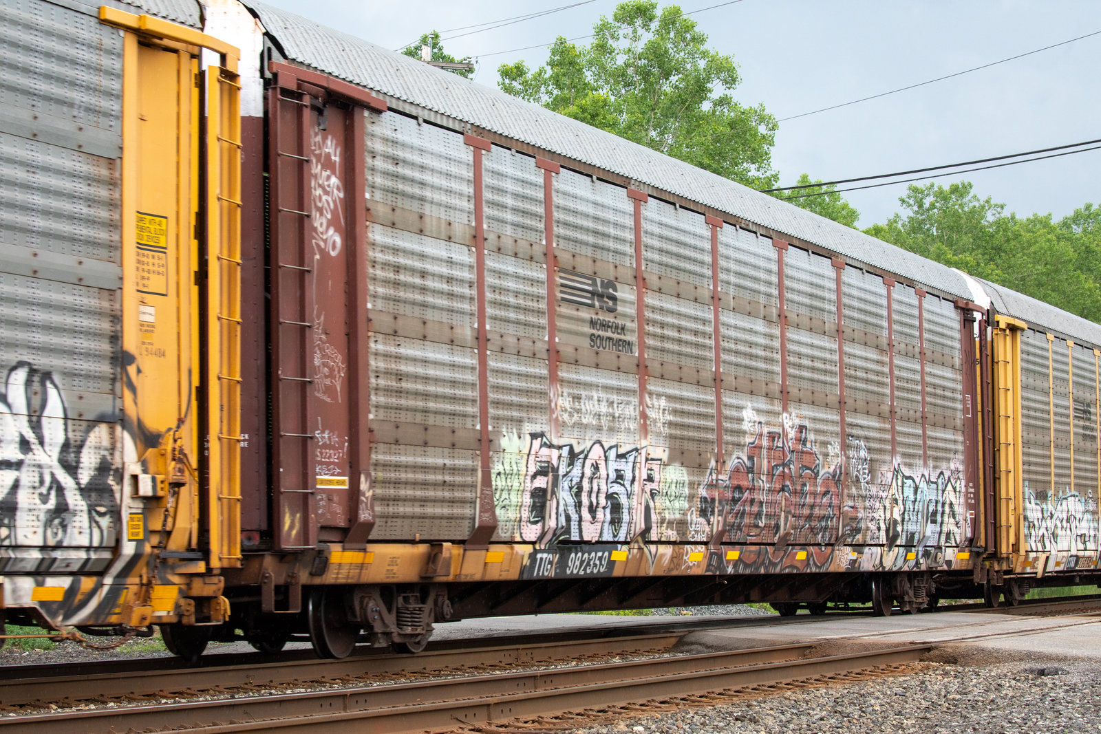 TTGX 982359