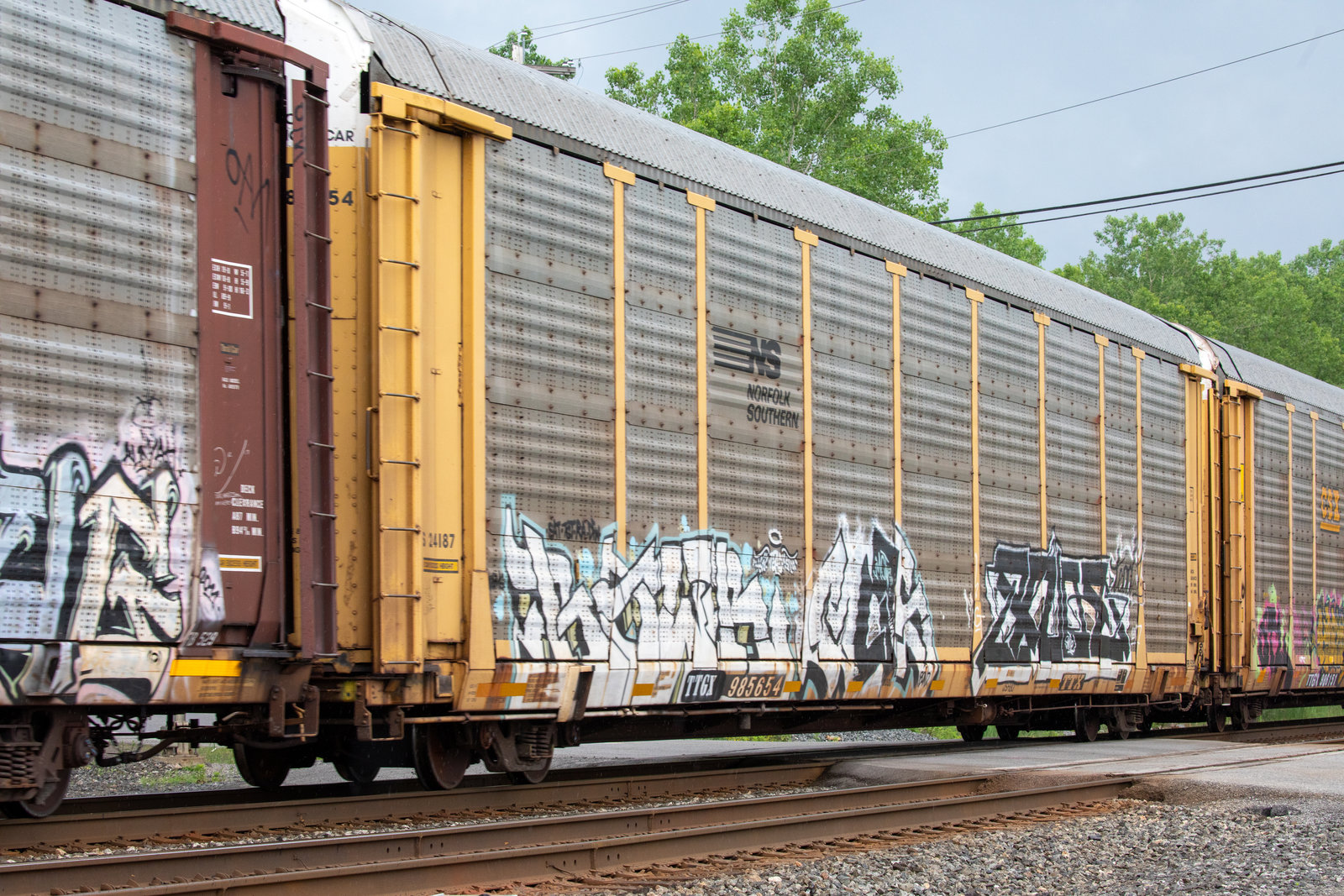 TTGX 985654