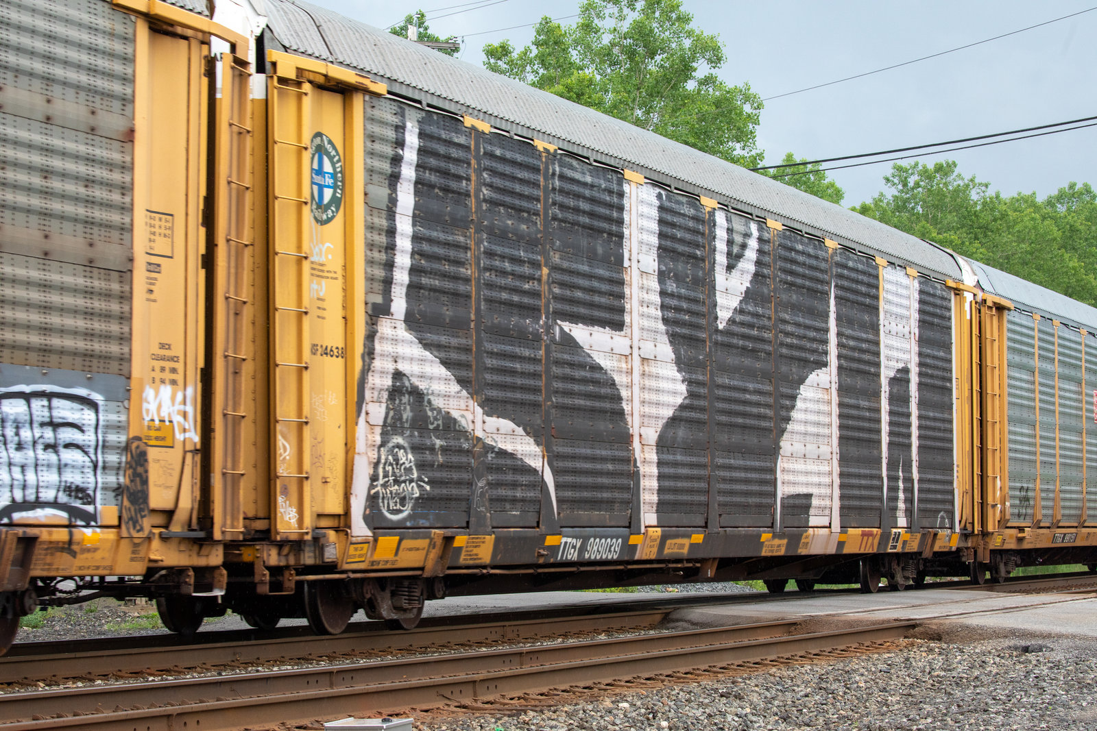 TTGX 989039
