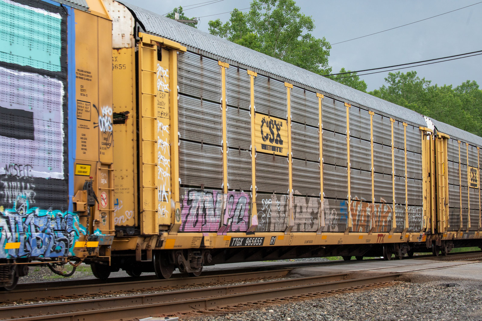 TTGX 965655