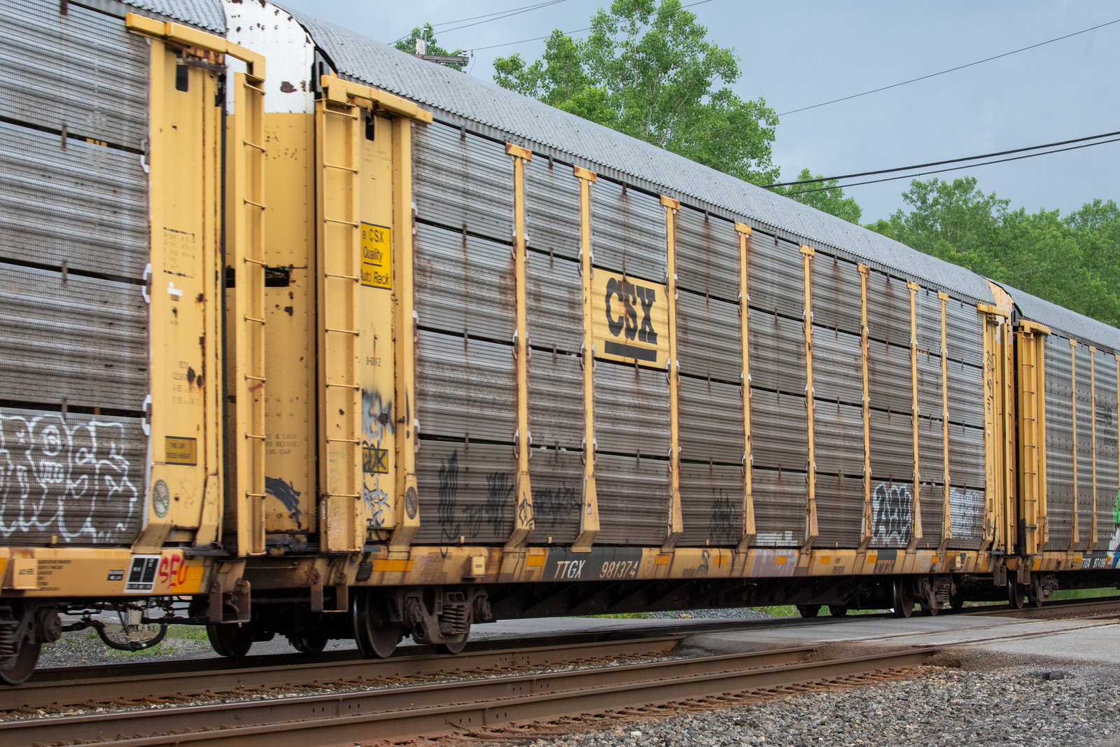 TTGX 981374