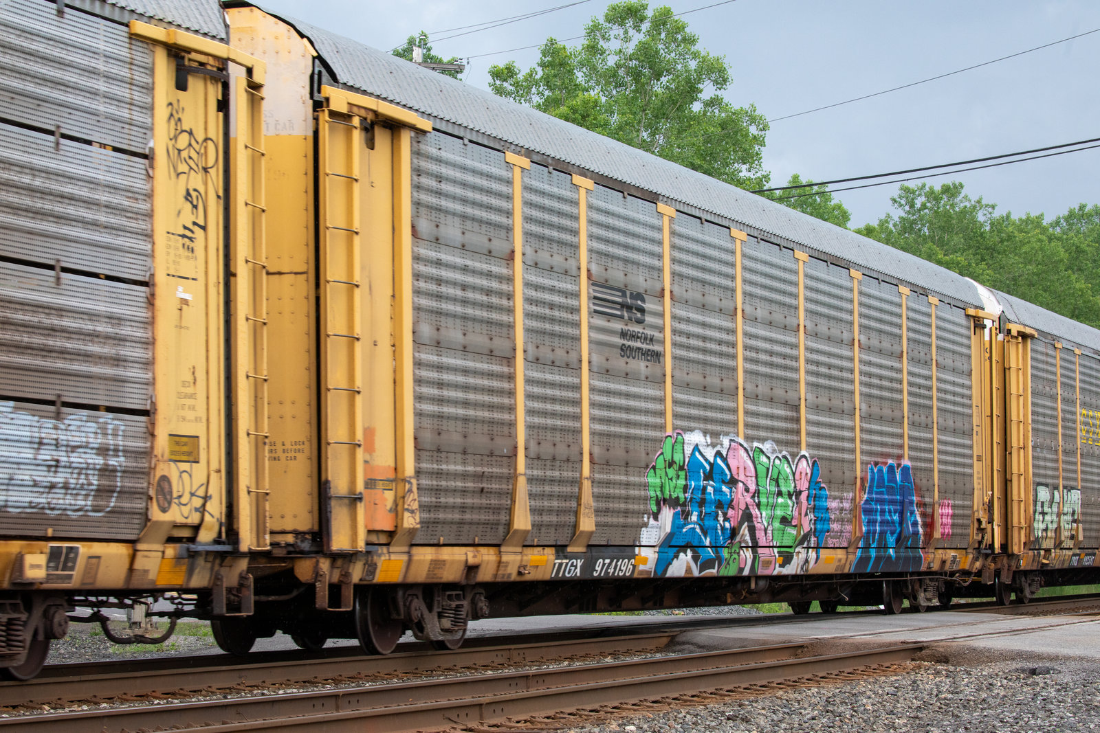 TTGX 974196