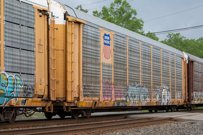 TTGX 988479