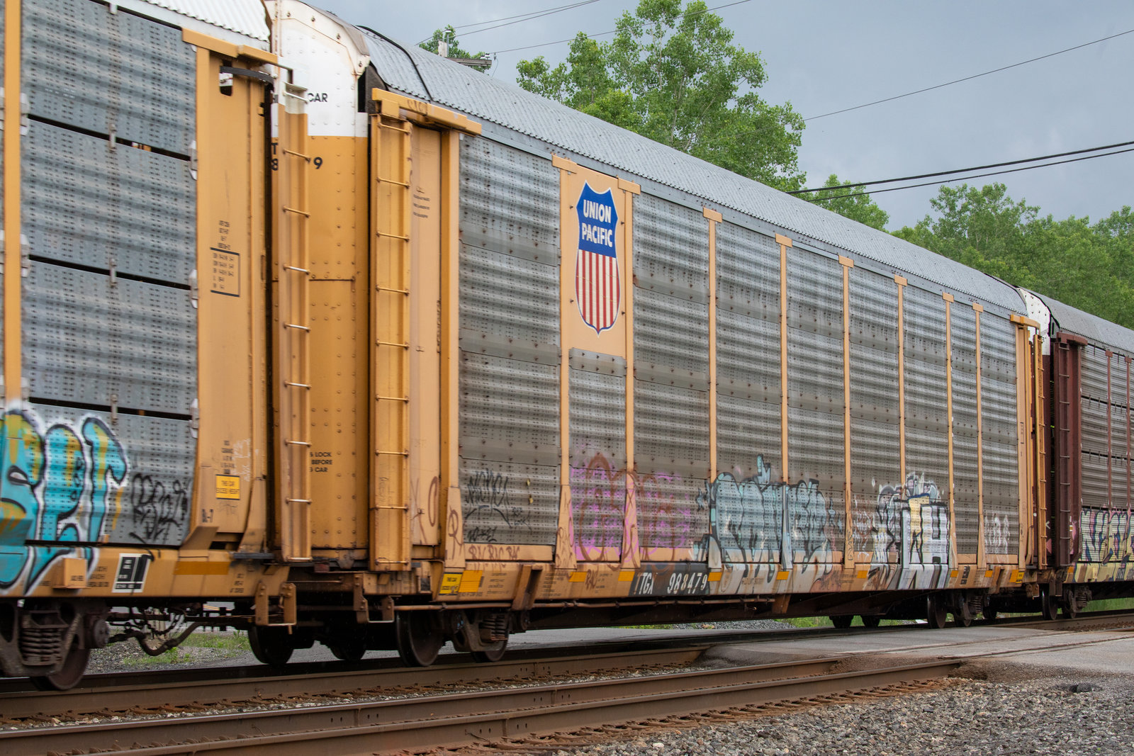 TTGX 988479