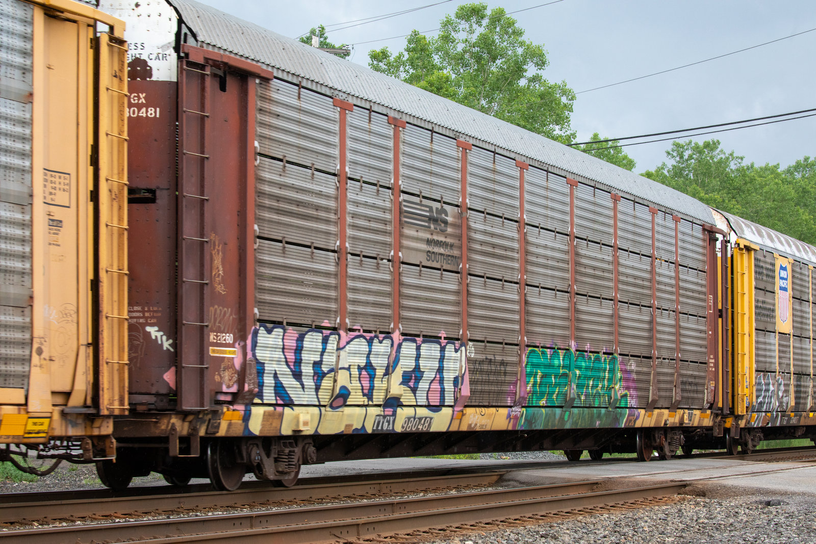 TTGX 980481