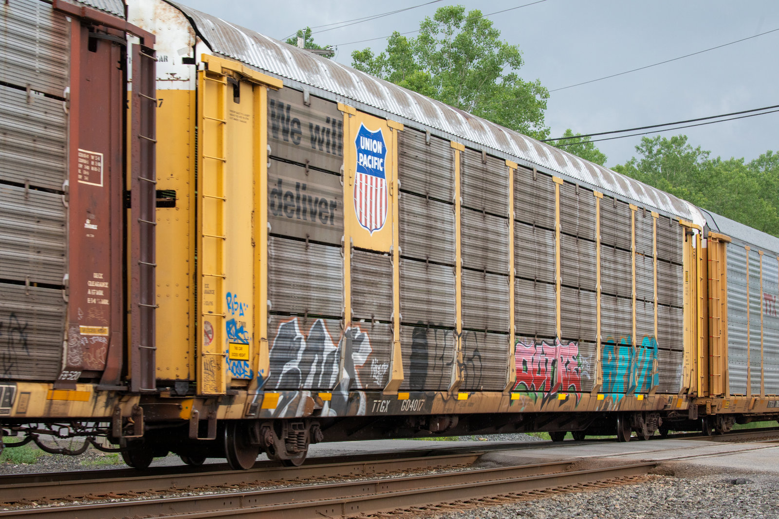 TTGX 604017