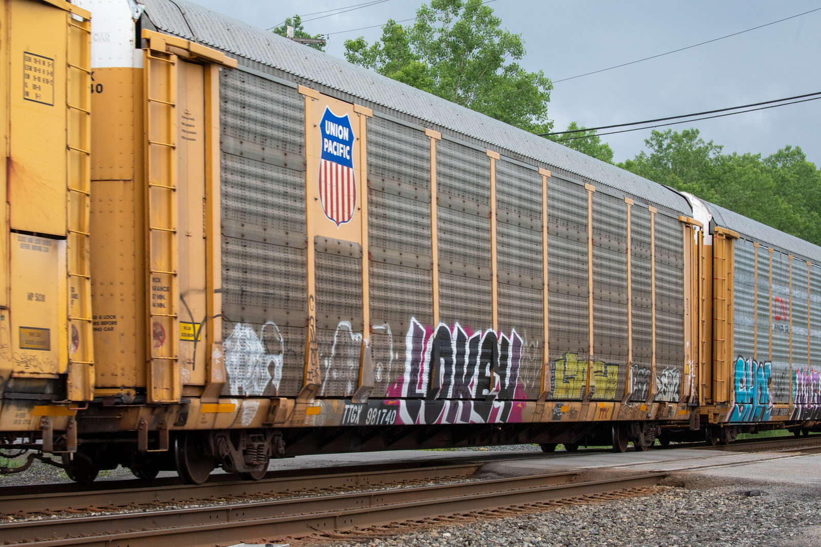 TTGX 981740