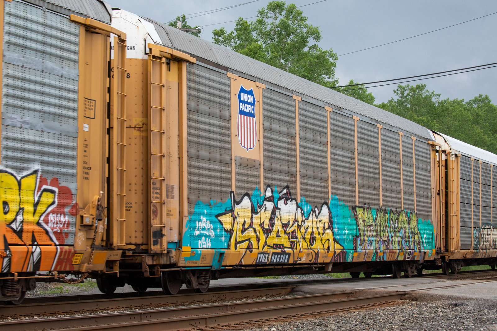 TTGX 986388