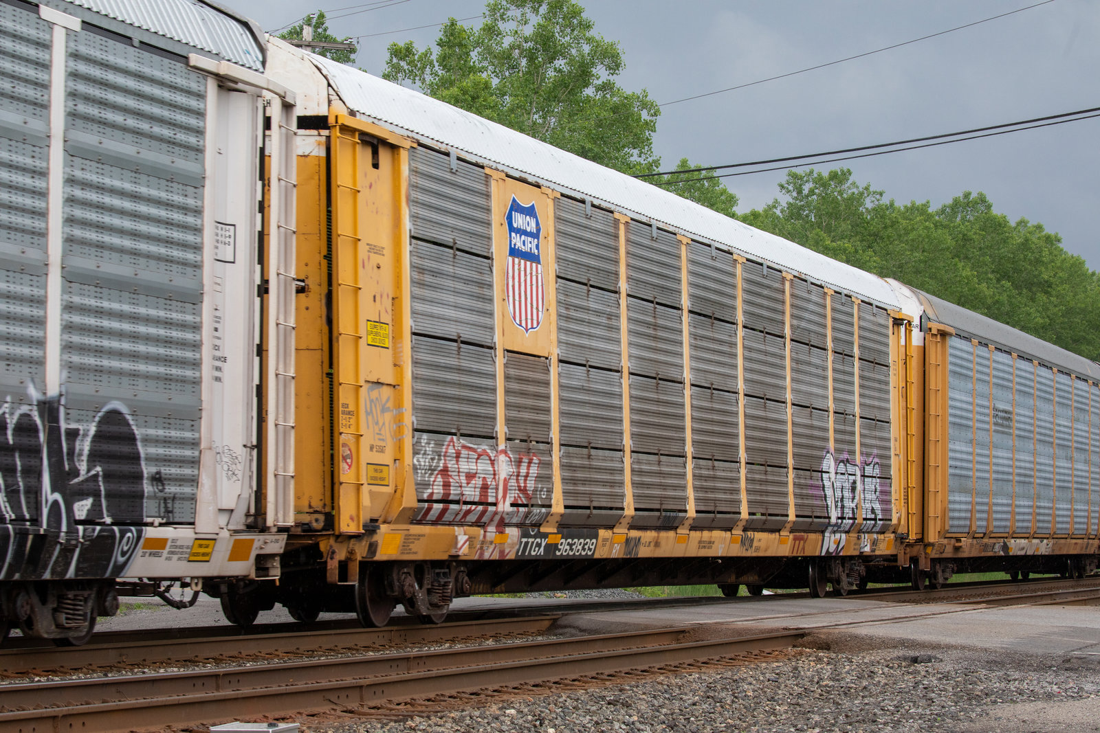 TTGX 963839