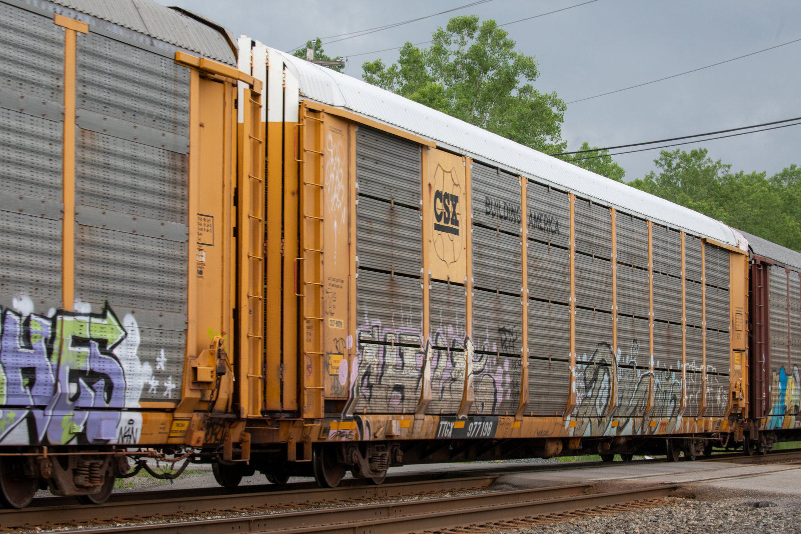 TTGX 977198