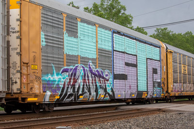 TTGX 716039