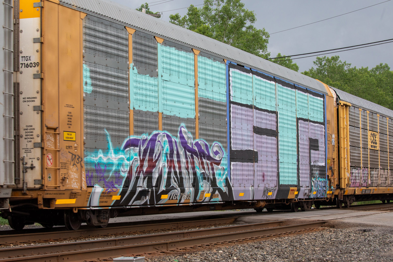 TTGX 716039