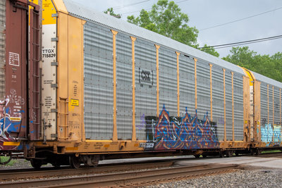 TTGX 715829