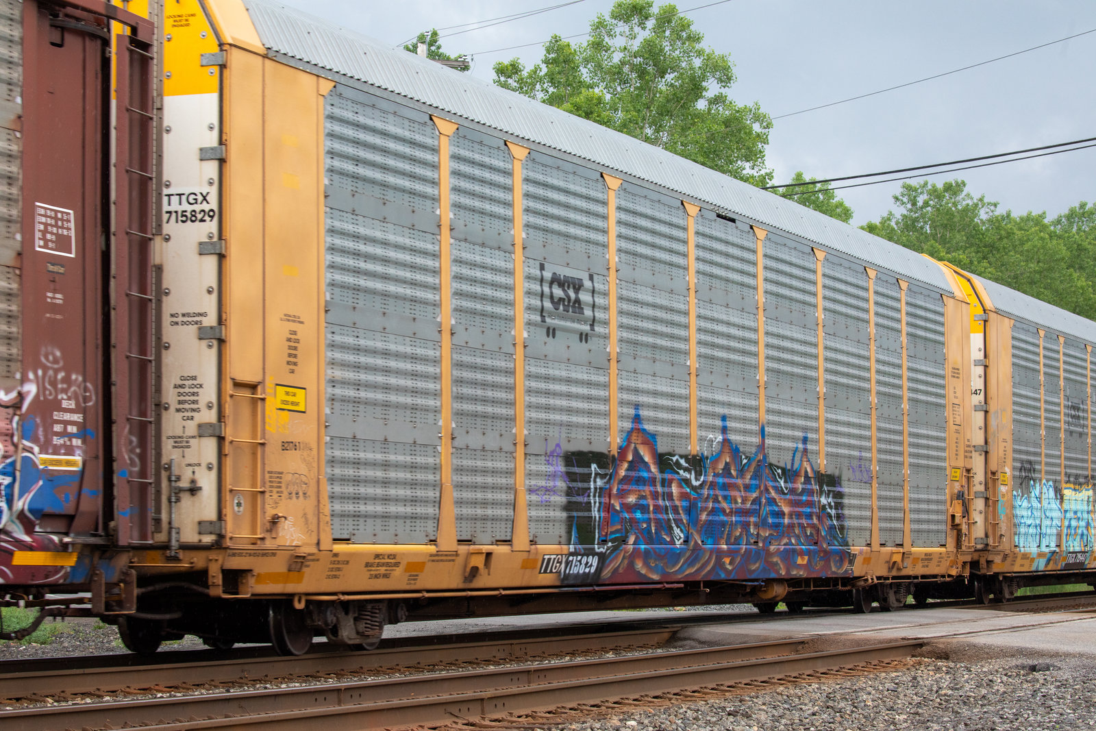 TTGX 715829