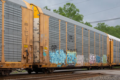 TTGX 715447