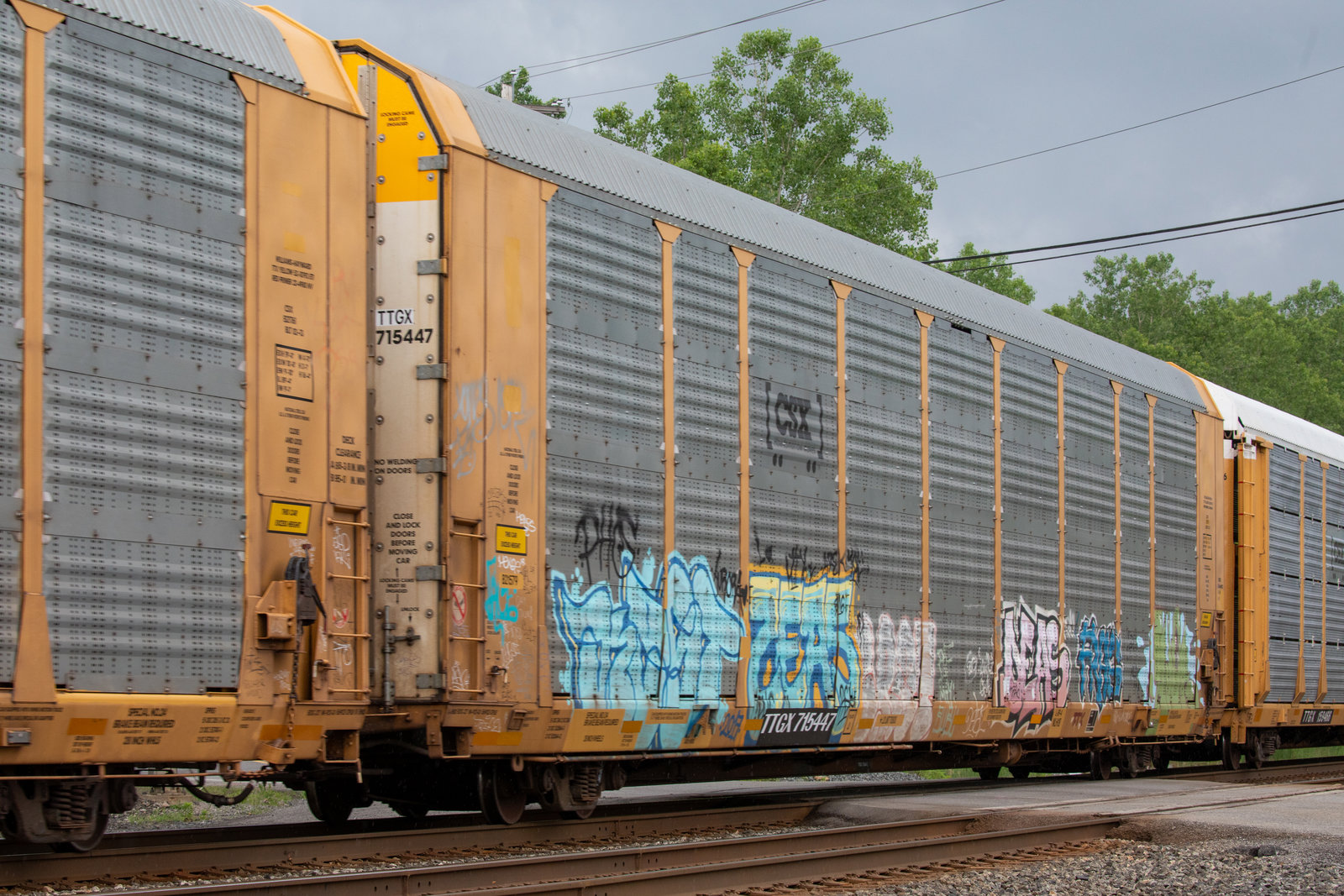 TTGX 715447