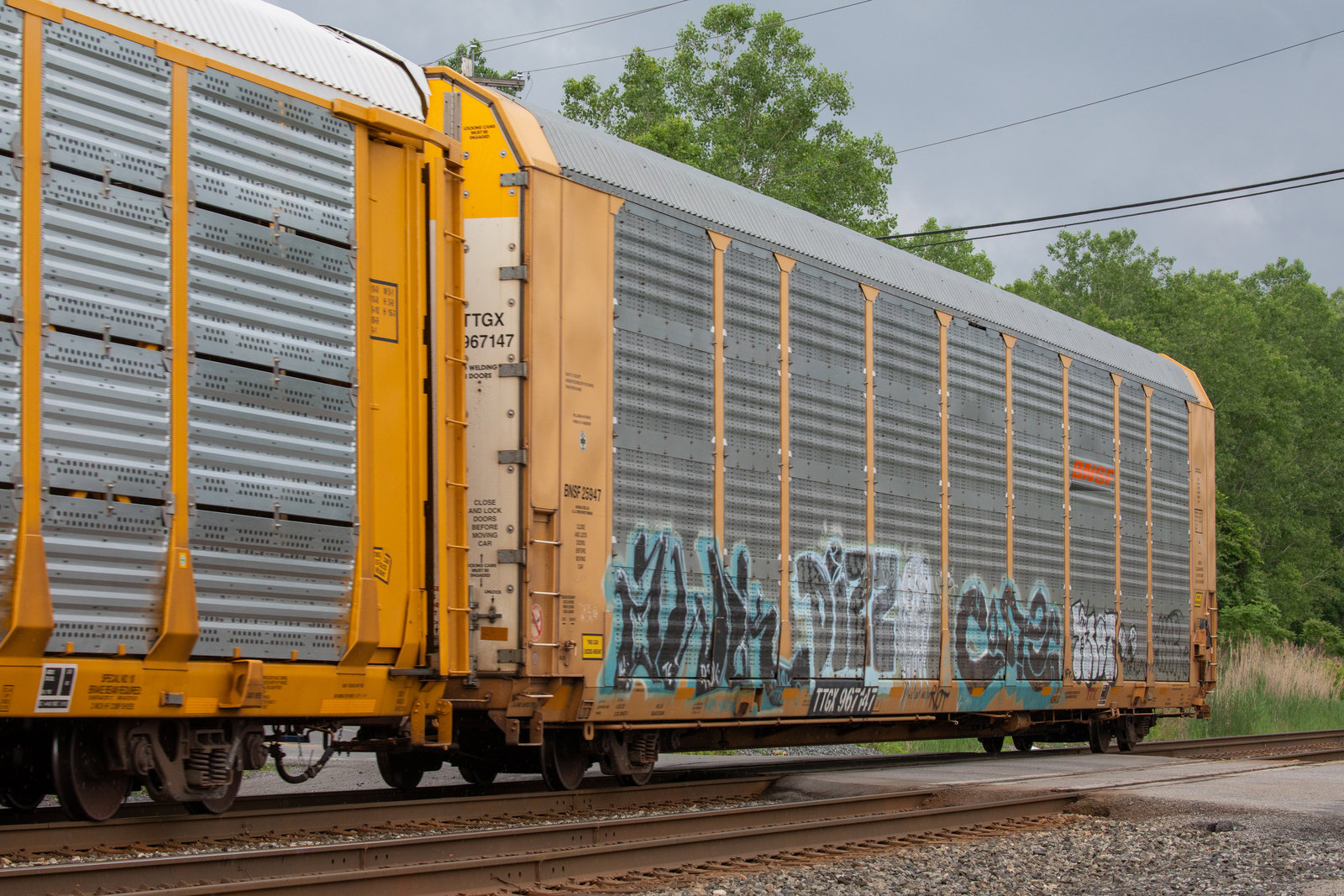 TTGX 967147