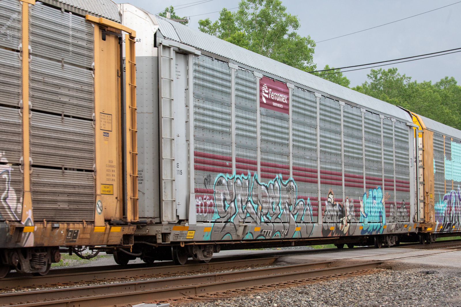 TTGX 705724