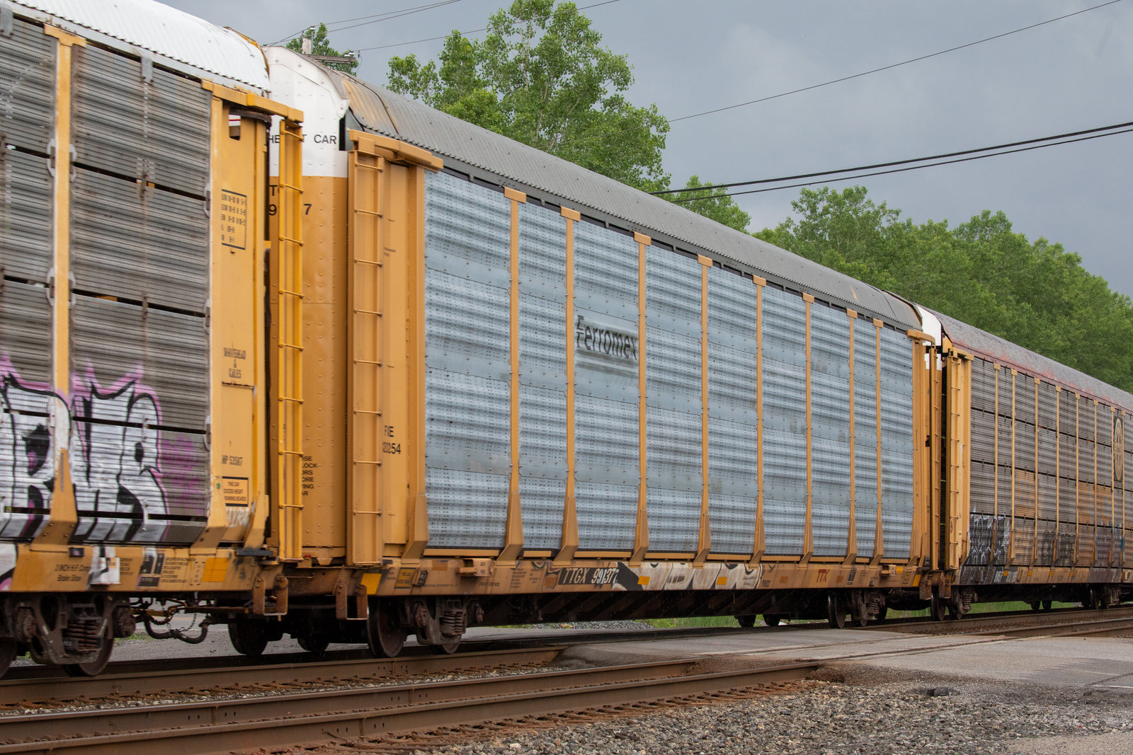 TTGX 991371