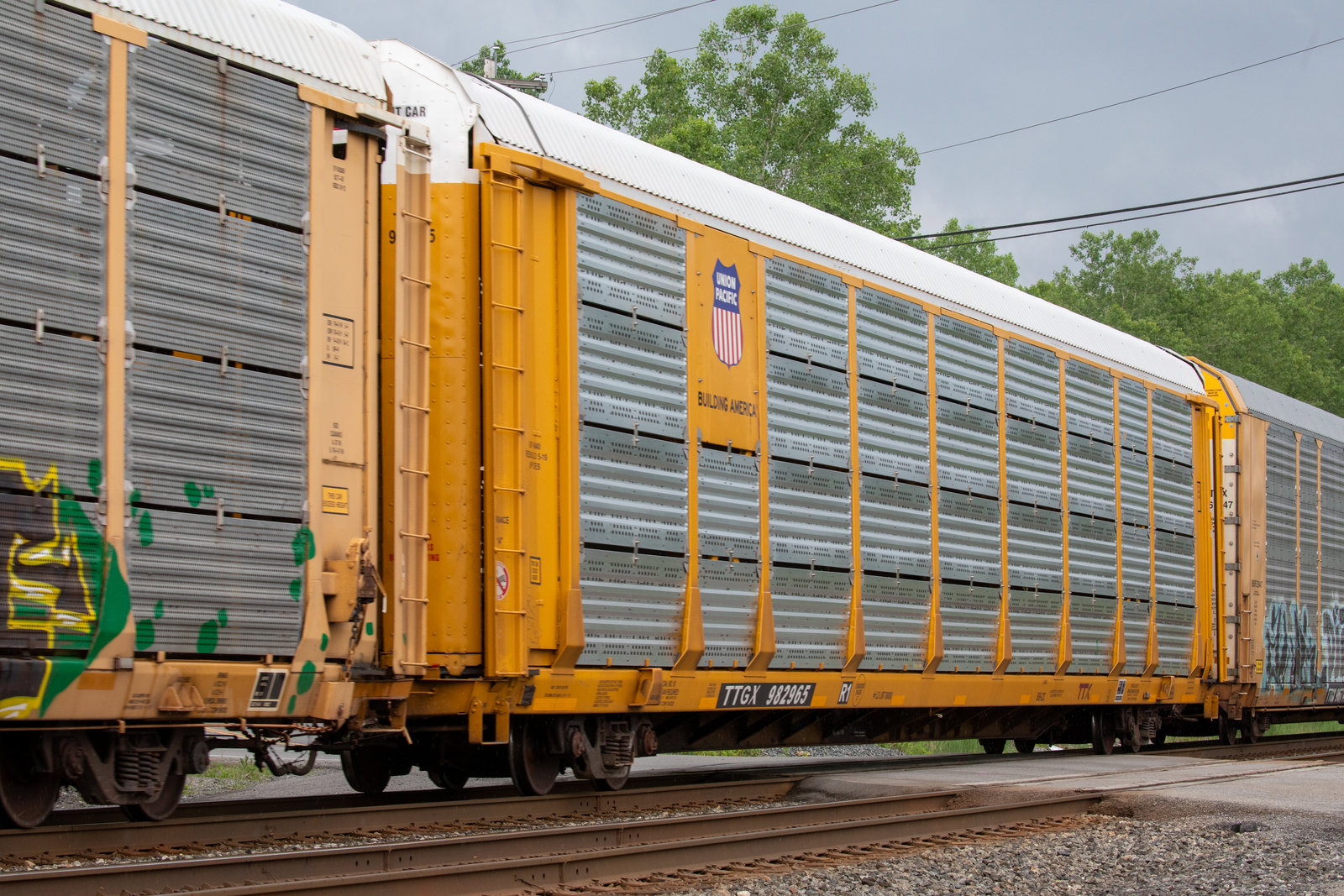 TTGX 982965