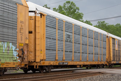 TTGX 159466