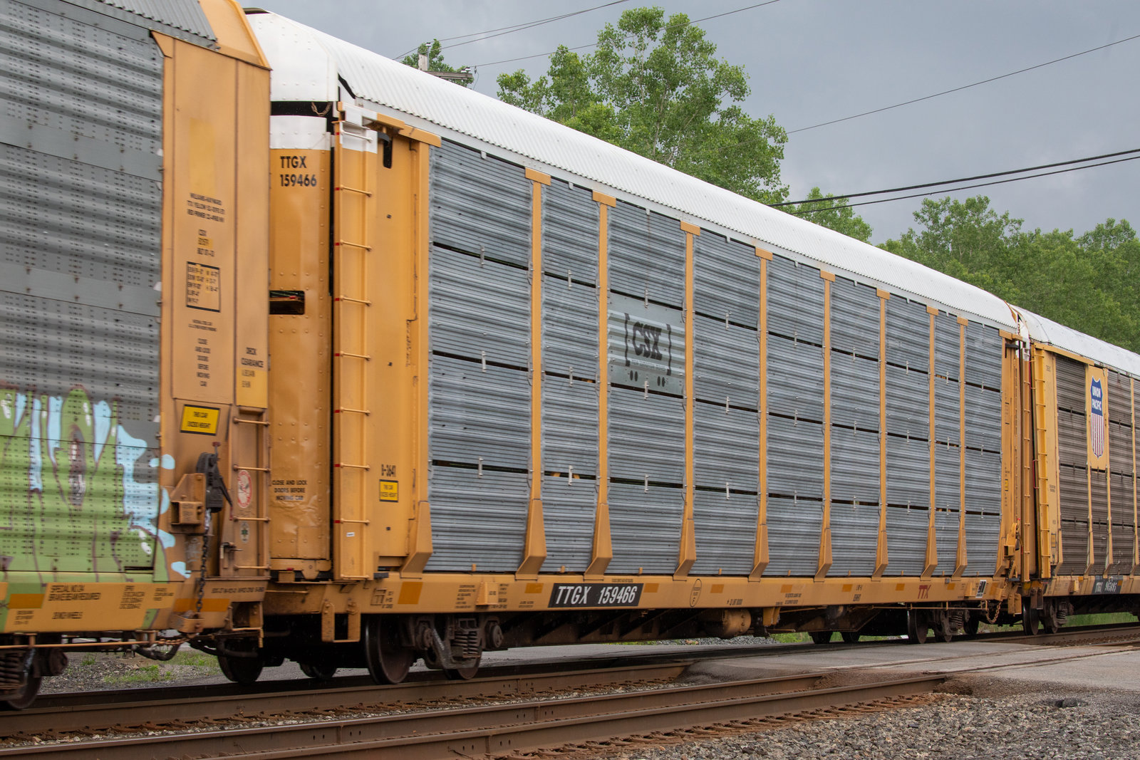 TTGX 159466