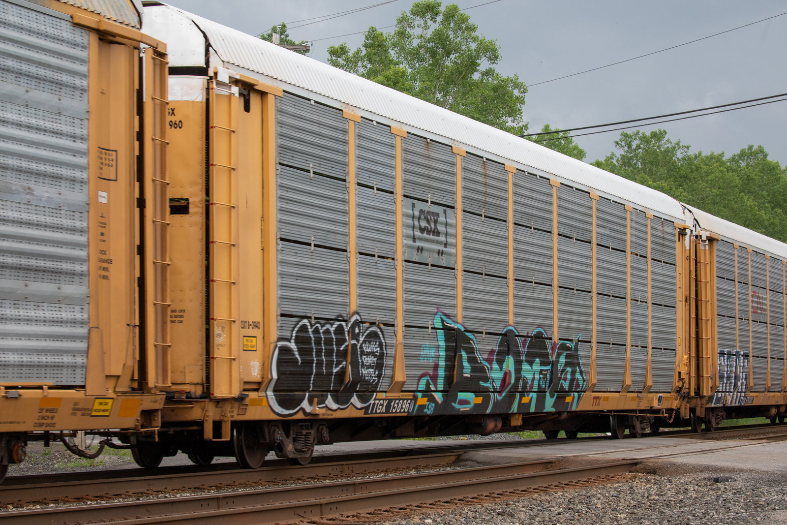 TTGX 158960