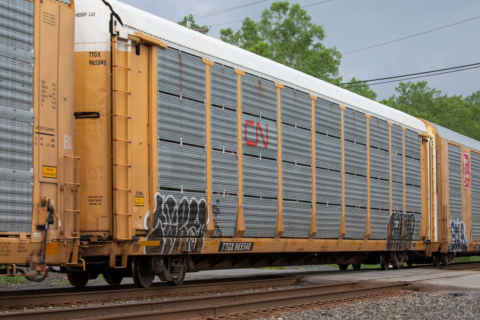 TTGX 965548
