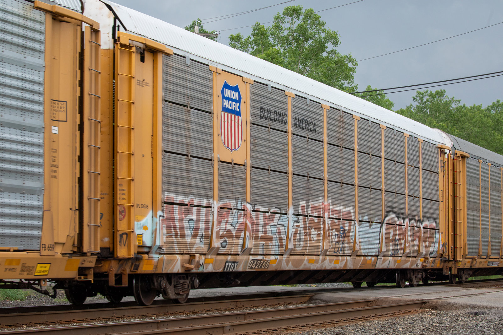 TTGX 942766