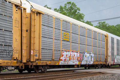TTGX 980263