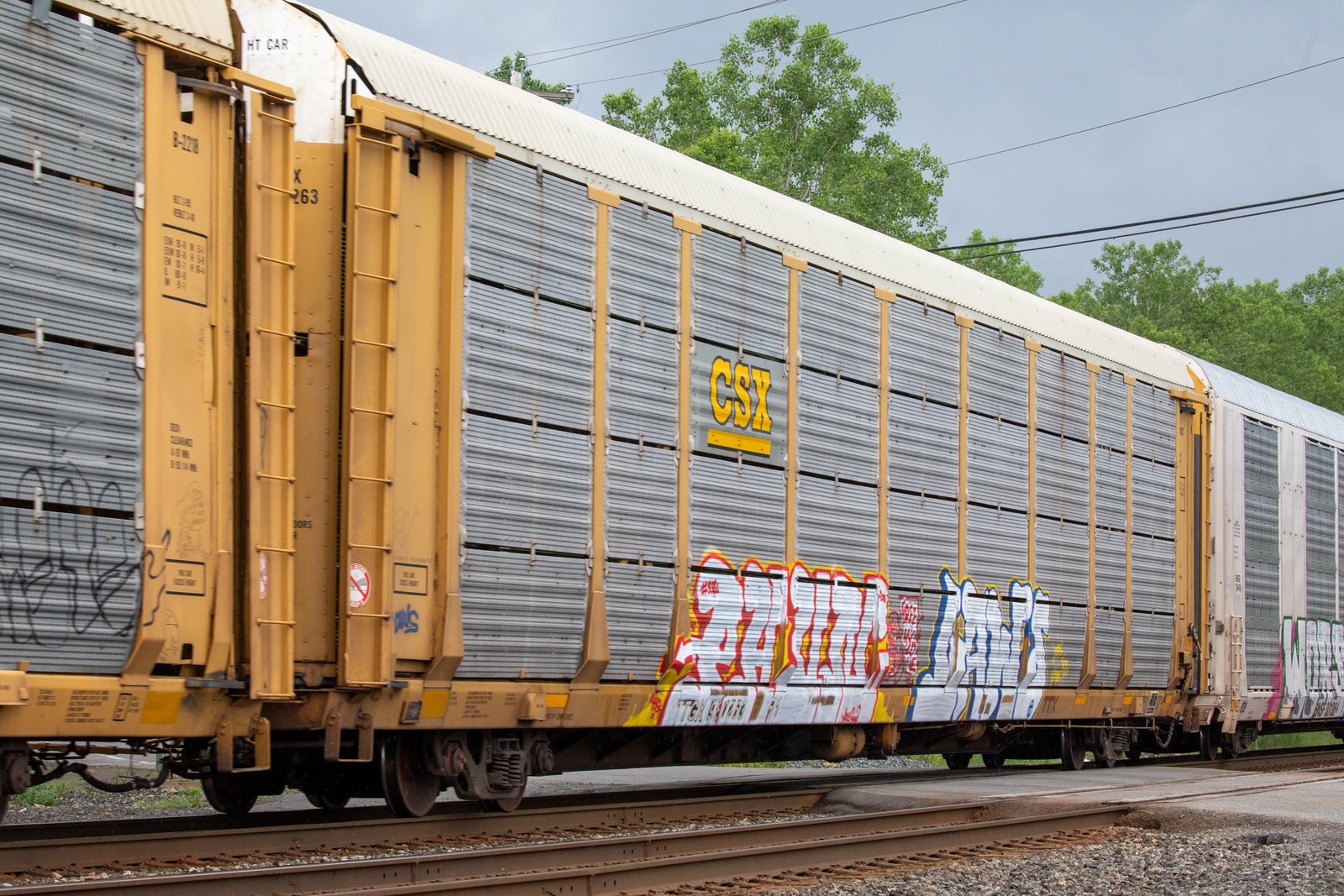 TTGX 980263