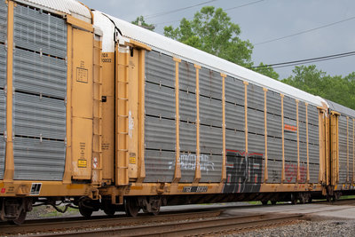 TTGX 993032