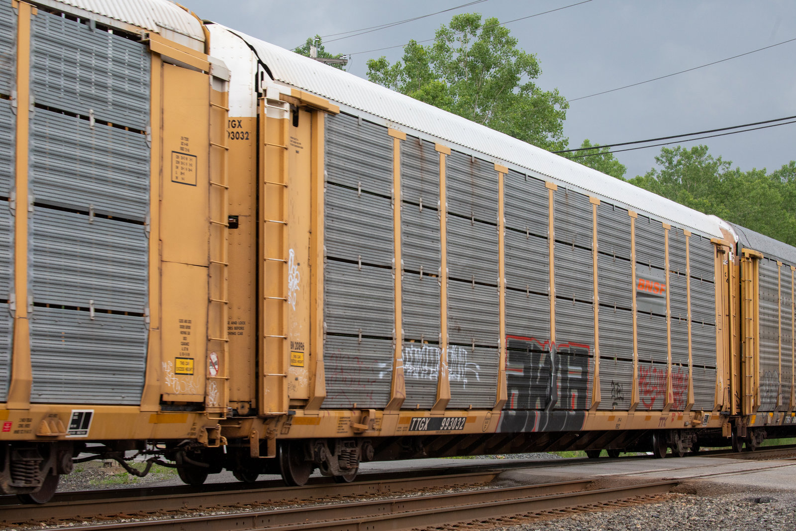 TTGX 993032