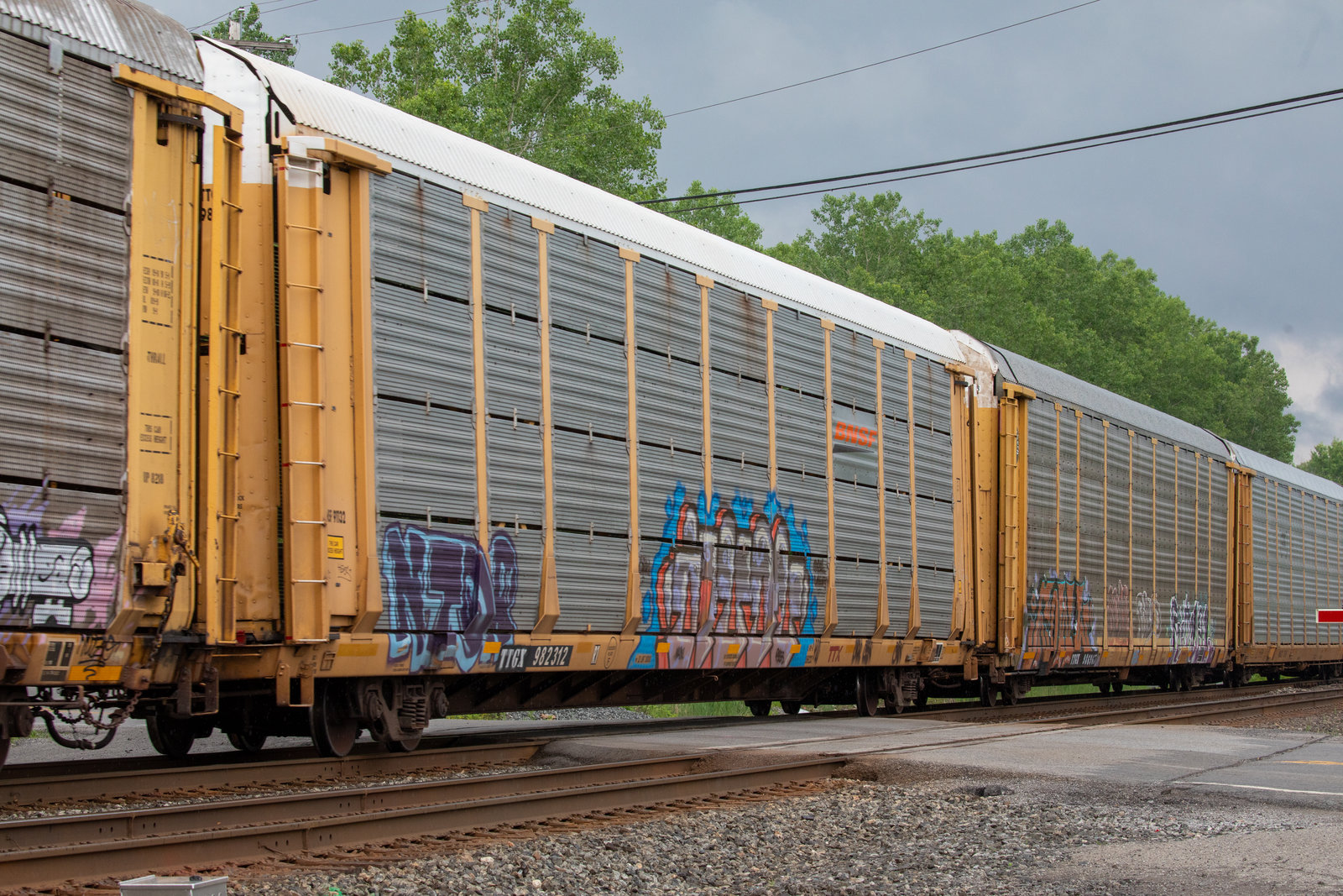 TTGX 982312