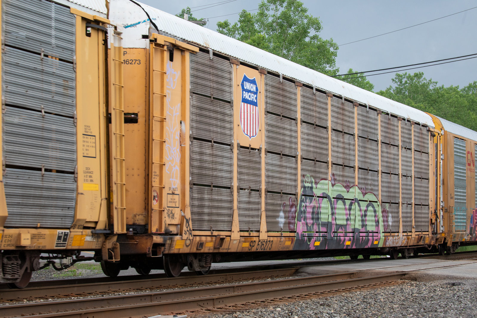 SP 516273