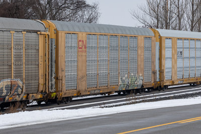TTGX 696844