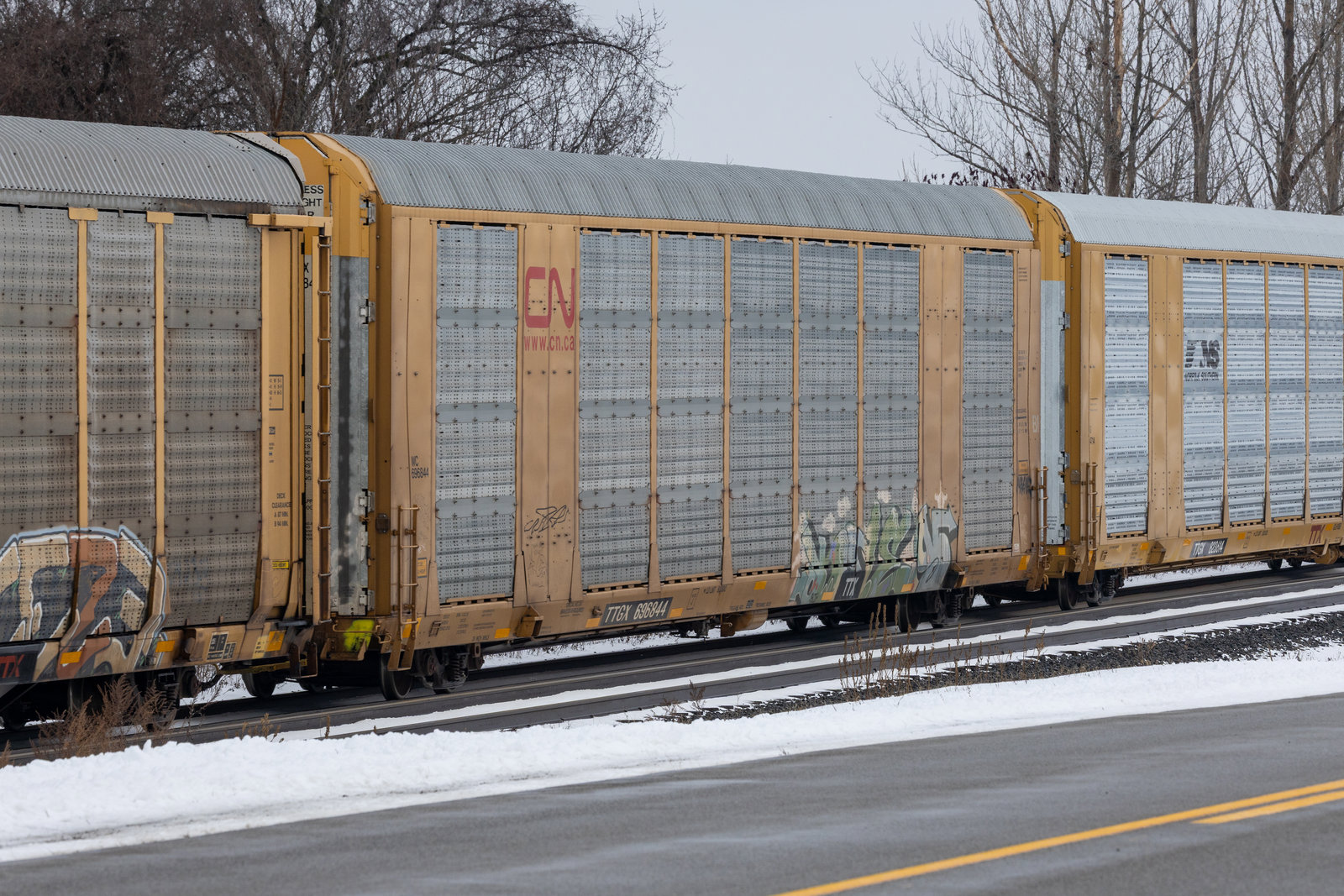 TTGX 696844