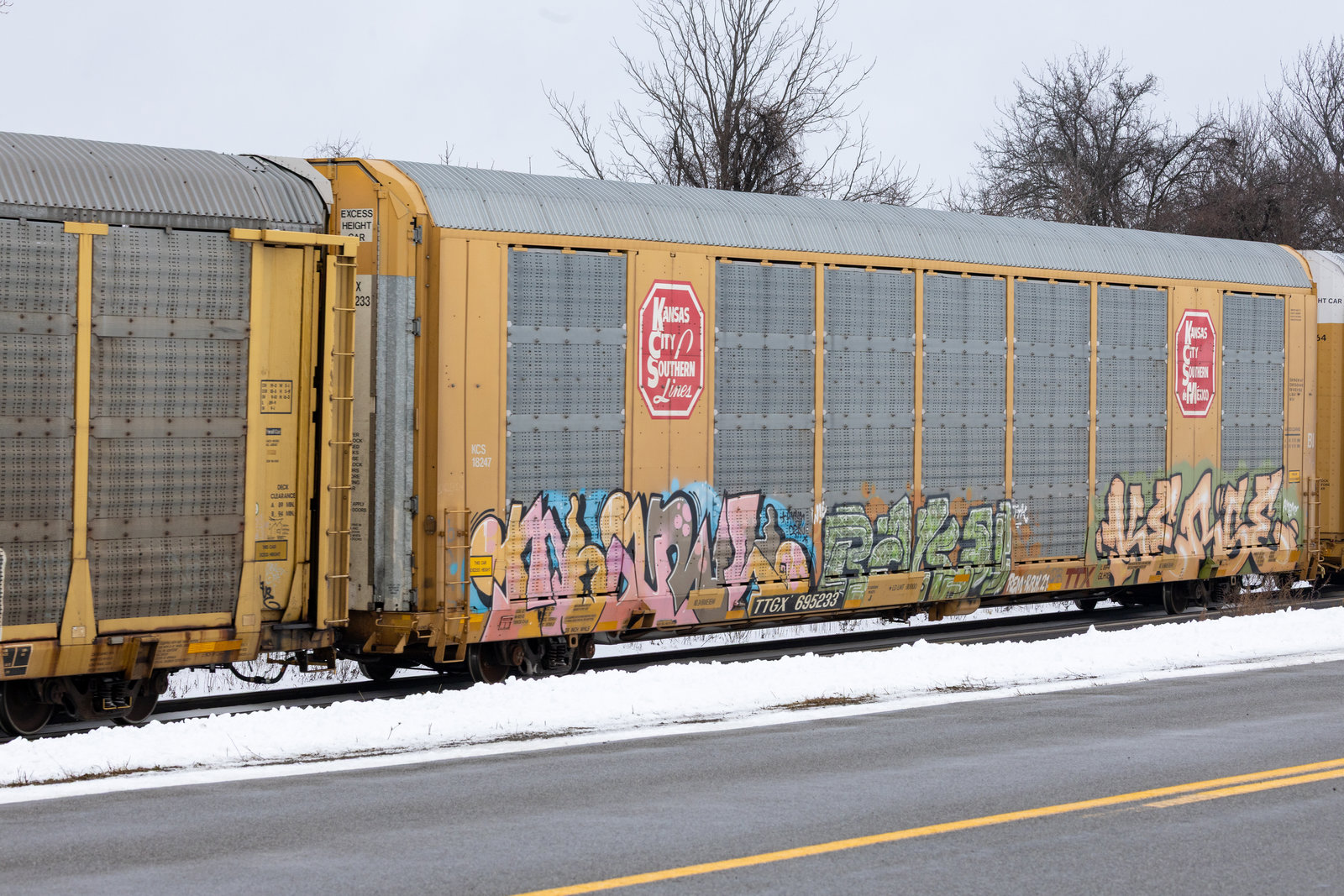 TTGX 695233
