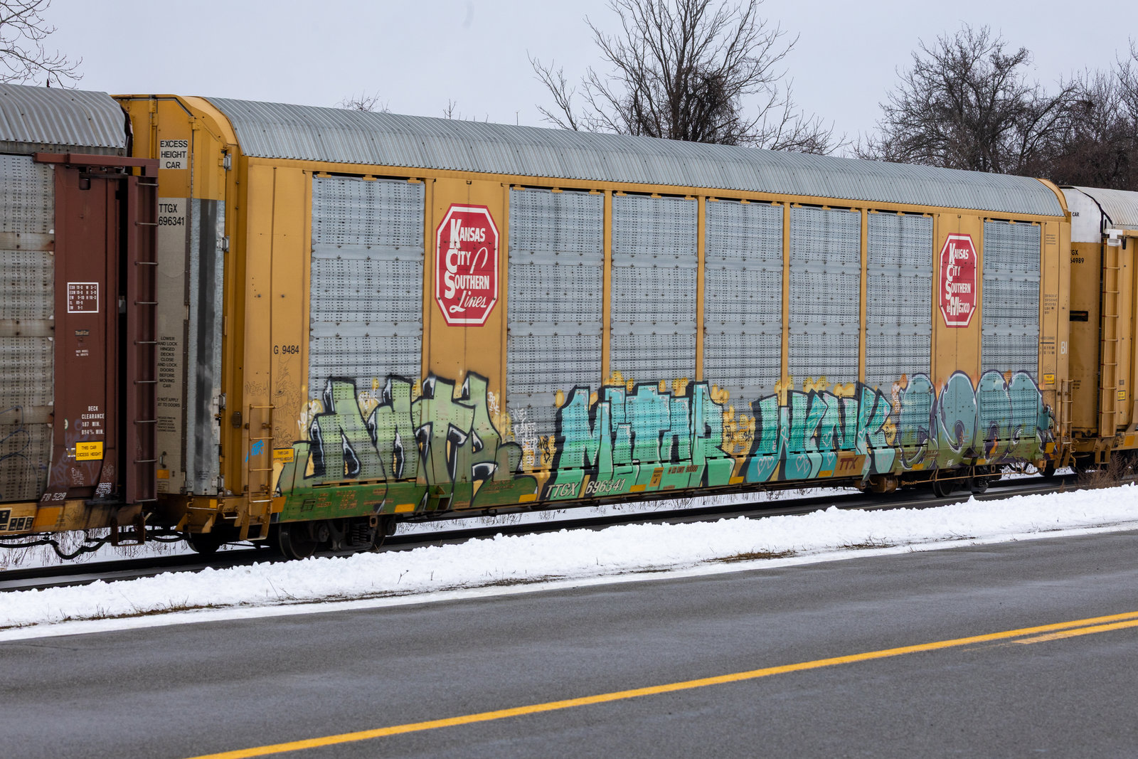 TTGX 696341