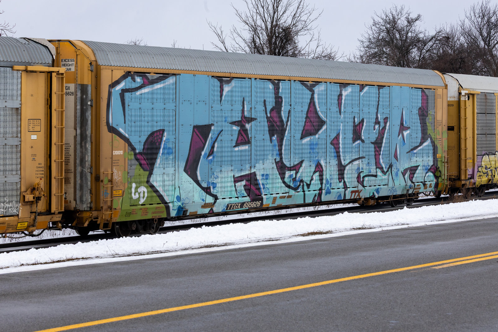 TTGX 695626