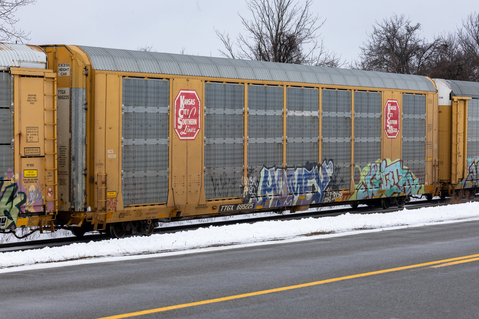 TTGX 695225