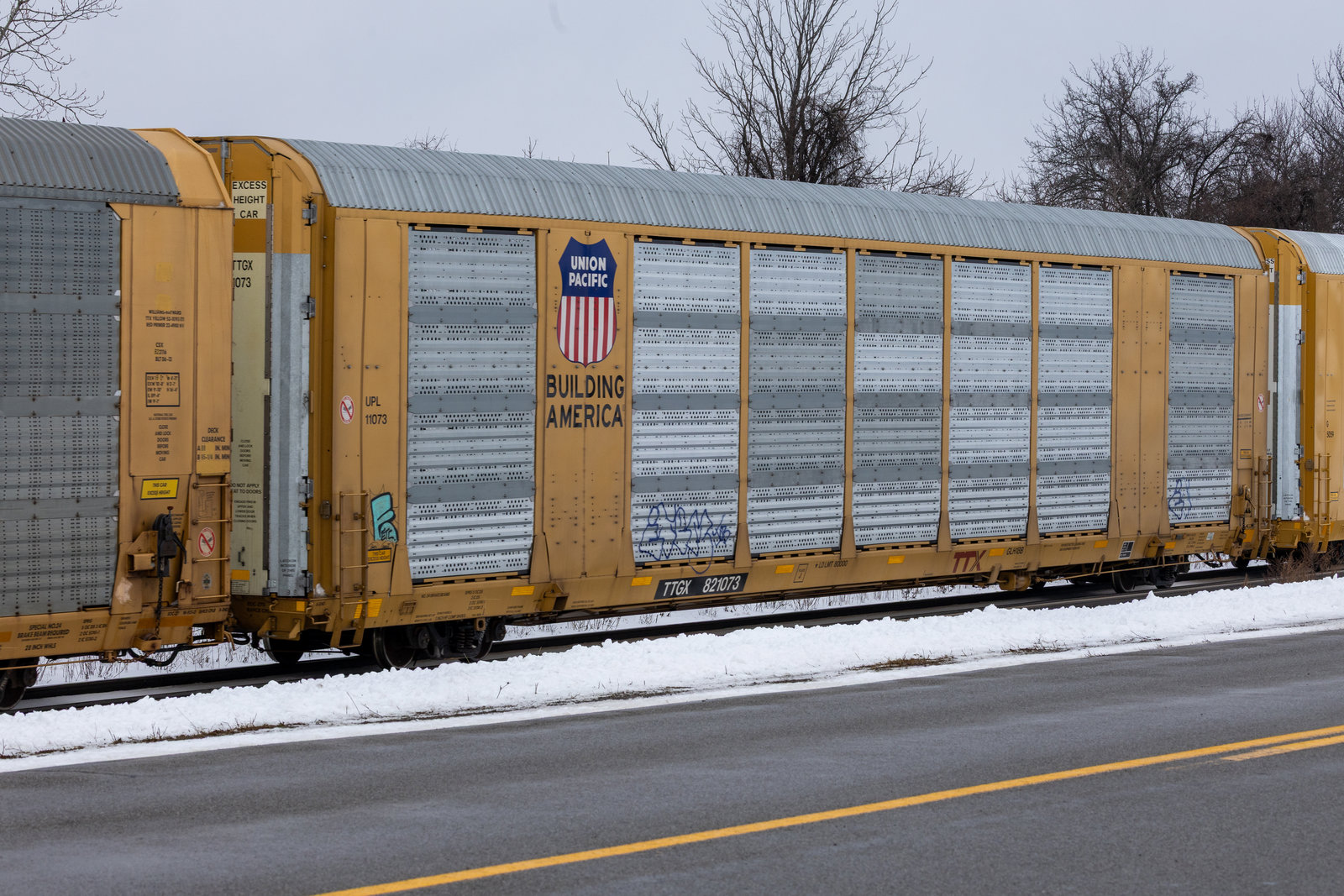 TTGX 821073