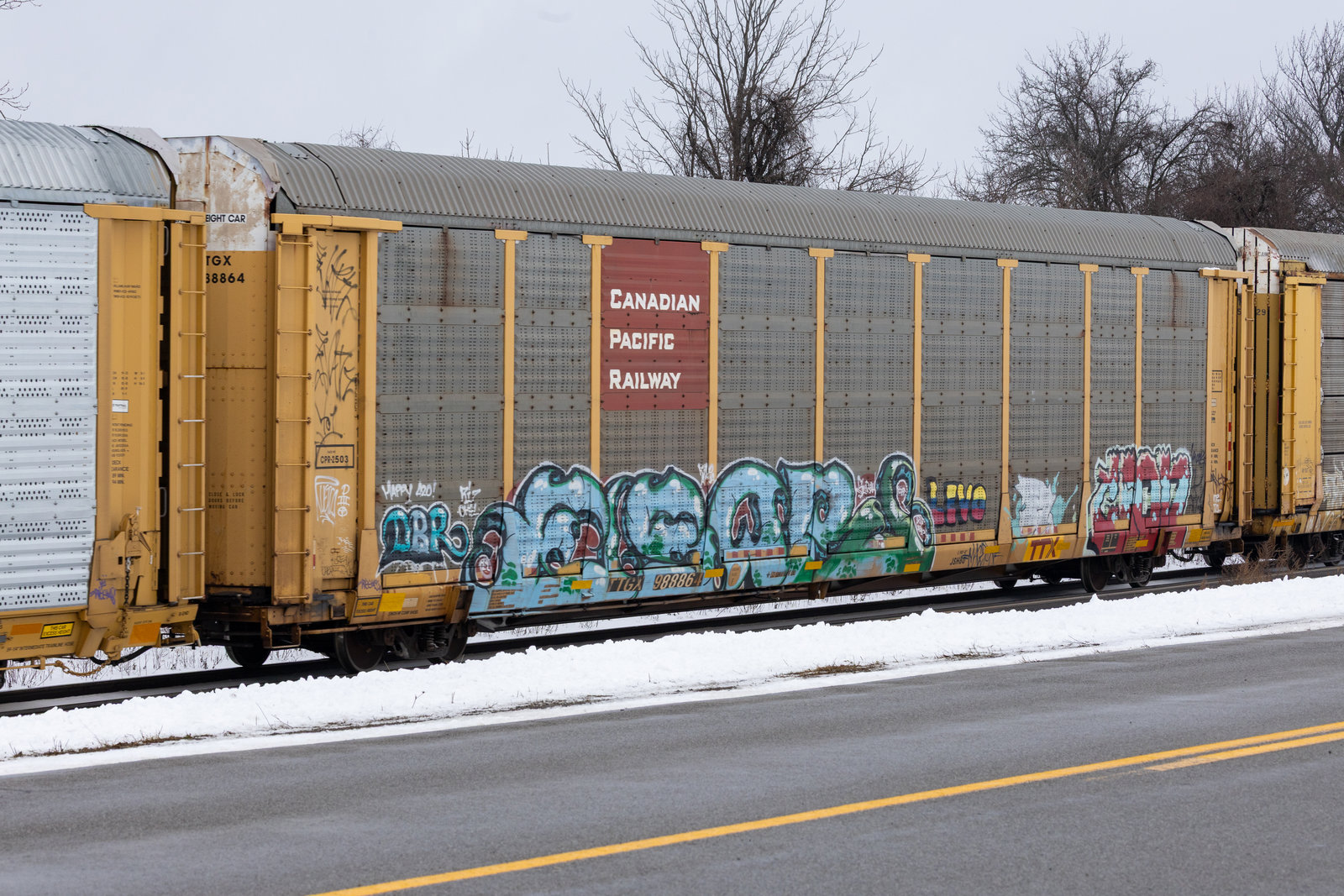 TTGX 988864