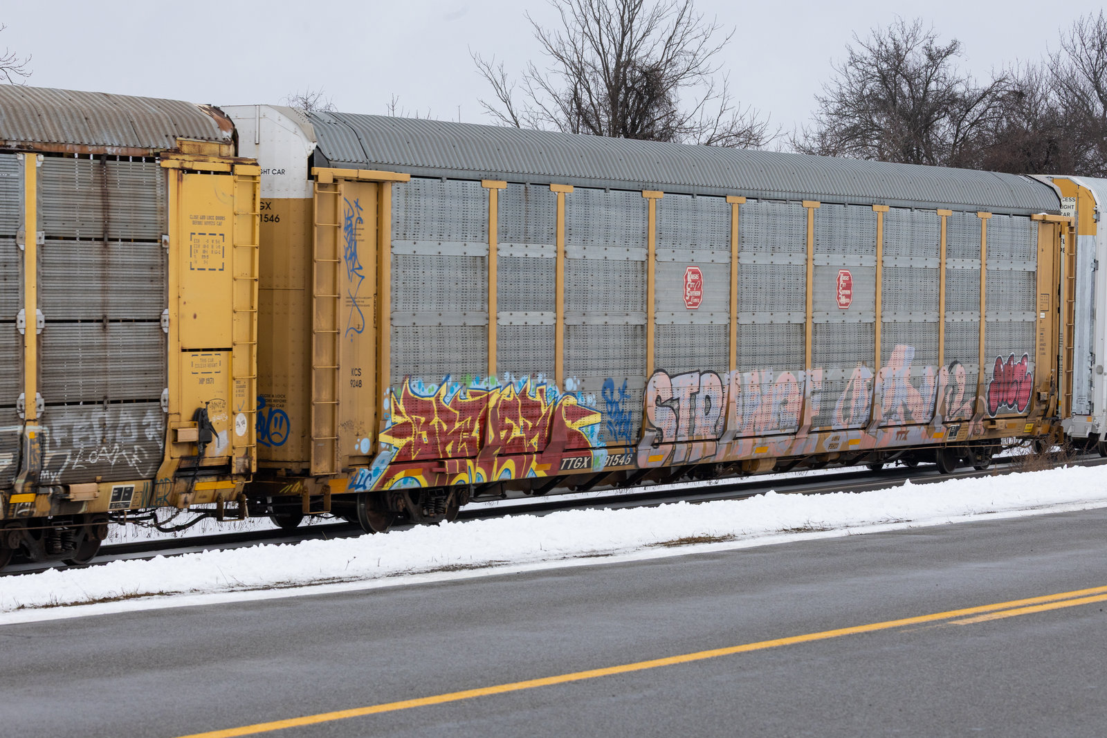 TTGX 991546
