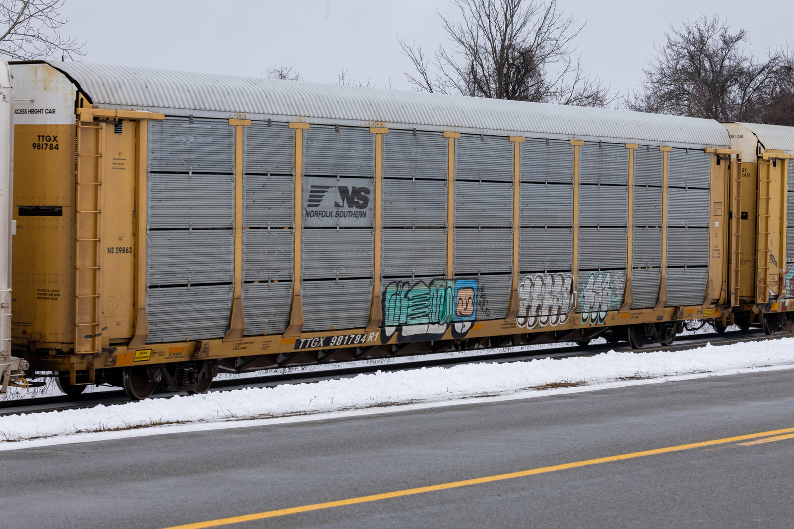 TTGX 981784