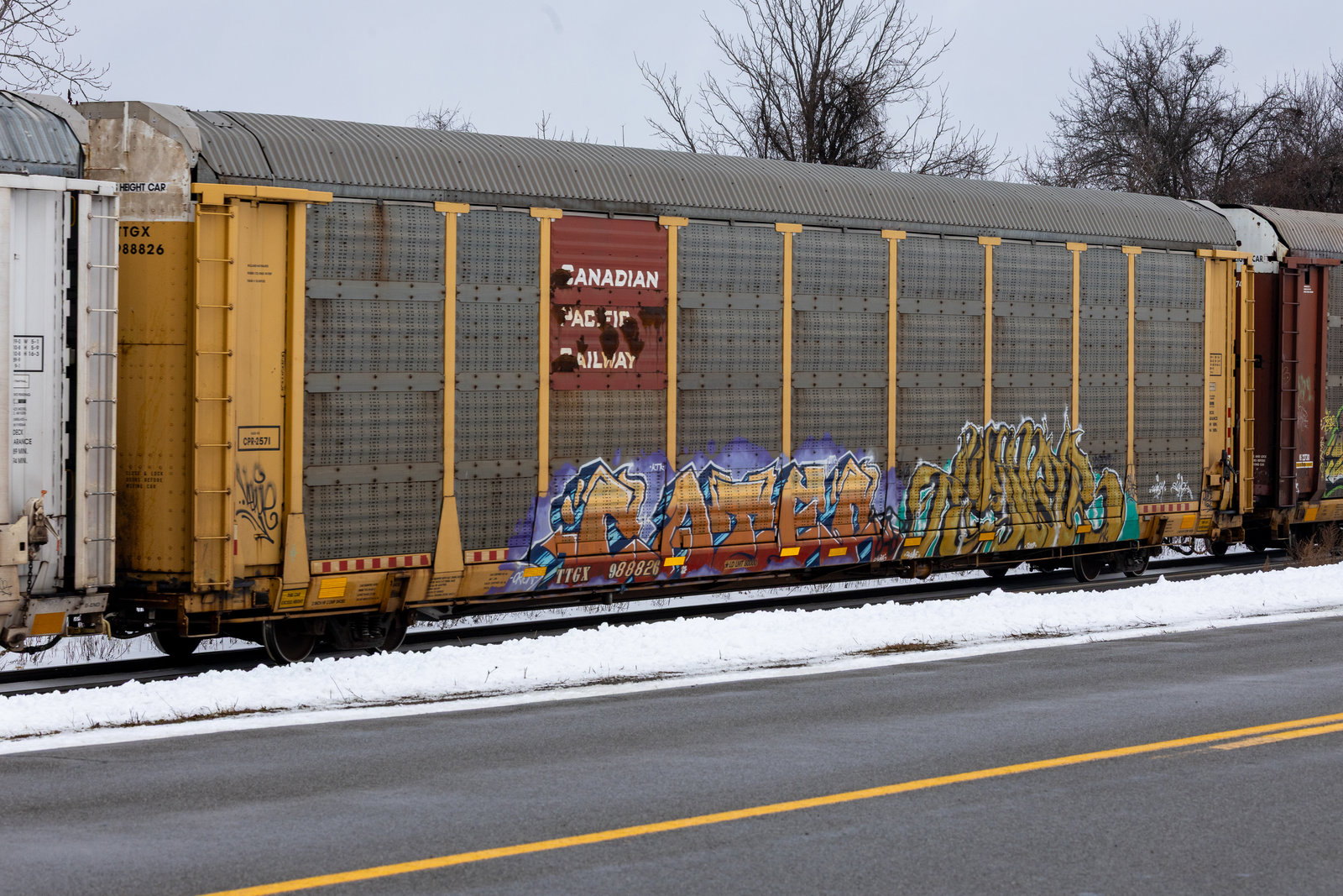 TTGX 988826