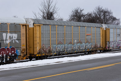 TTGX 977238